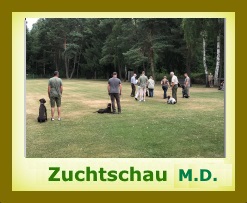 2017 Zuchtschau MD