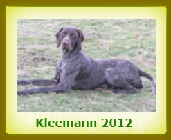 Kleemann 2012