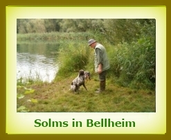 Solms 2008 Bellheim a