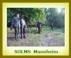 Solms 2011 MA a