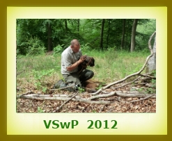 VSwP 2012