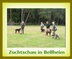 Zuchtschau 2008 Bellheim a