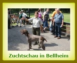 Zuchtschau 2010 Bellheim a