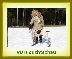 Zuchtschau 2010 VDH a