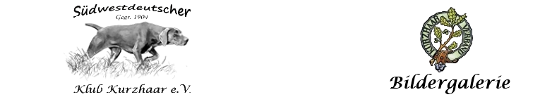 header logo dkv or - bildergalereie a