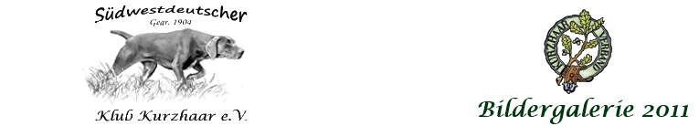 header logo dkv or - bildergalerie 2011a